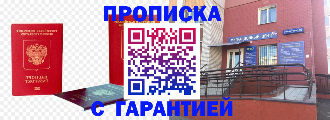 где прописаться в Коле